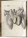 DESCARTES, RENÉ. De homine. 1662